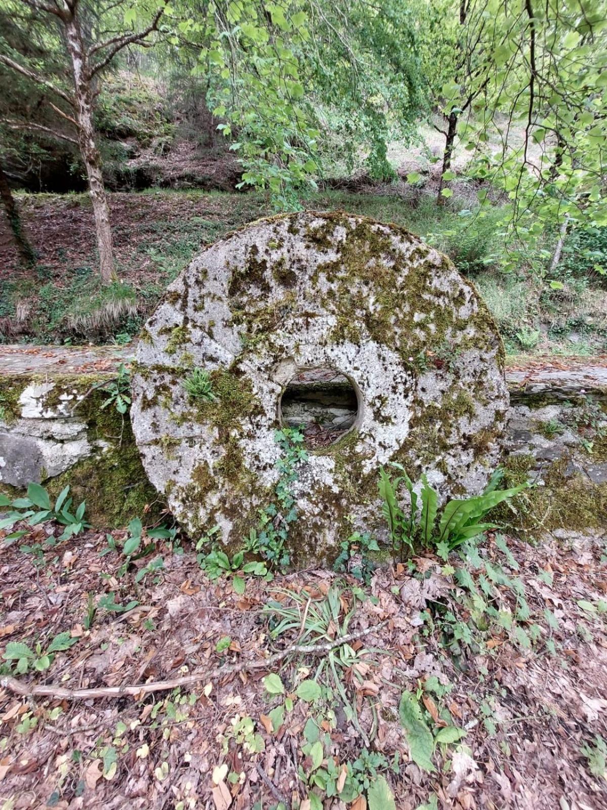 Moulin De Serre Cassagnes-Begonhes Екстер'єр фото